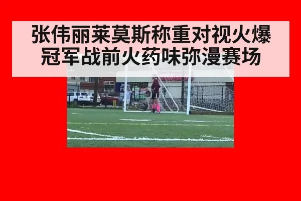张伟丽莱莫斯称重对视火爆 冠军战前火药味弥漫赛场